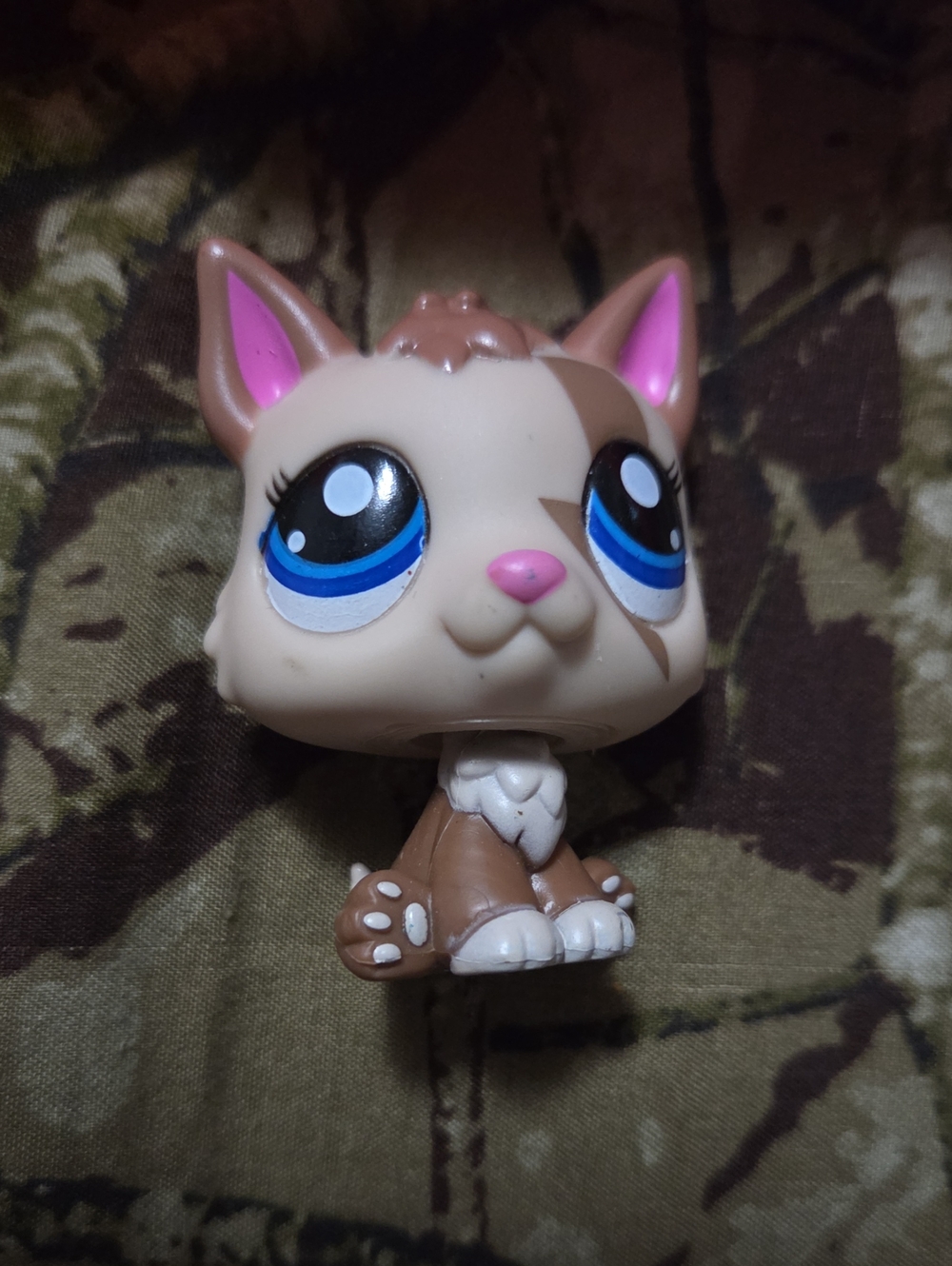 Littlest Pet Shop Brown and Cream Cat with Blue Eyes